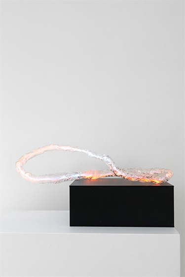 Harriet Schwarzrock, Entangled Möbius II, blown laboratory glass, neon gas, an electrical capacitive transformer within a sealed non-conductive box, thread, 40 x 45 x 33 cm.