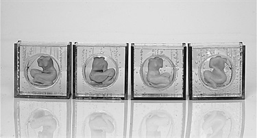Louise Harper, Good Intention, rubber, Perspex, brass, 50 x 12 x 5 cm. Courtesy of Gallery 101.