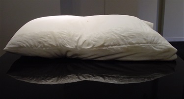 Alex Seton, A Young Man's Dream, statuario marble, pigmented blood sealant, 16 x 75 x 45 cm. Courtesy of Maunsell Wickes at Barry Stern Galleries.