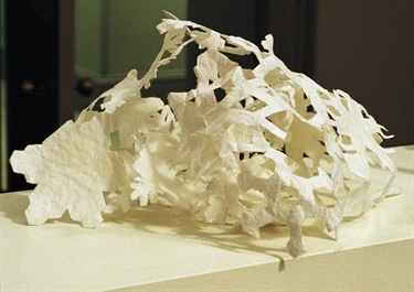 Carolyn Rendle, Whiteout, textile, stiffening agent, 25 x 40 cm.