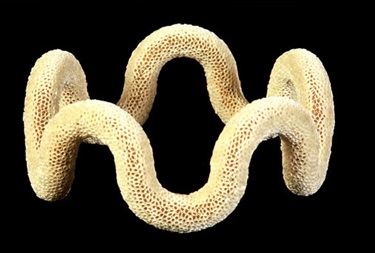 Casselle Mountford, Curlicue, paper straws, styrofoam, 50 x 50 x 22 cm.