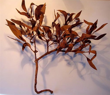 Linelle Stepto, Colonise - Flooded Gum, cane toad skin (cured), florist wire, 60 x 40 x 40 cm.