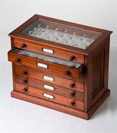 Daniela Turrin, Cabinet of Curiosities 2, timber cabinet, flameworked glass raindrops, entomology pins, paper labels, 45 x 45 x 45 cm.