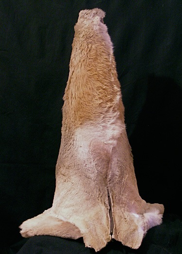 Joan Ross, Come a Little Closer, kangaroo fur, plastic, 75 x 20 x 20 cm. Courtesy of Gallery Barry Keldoulis.