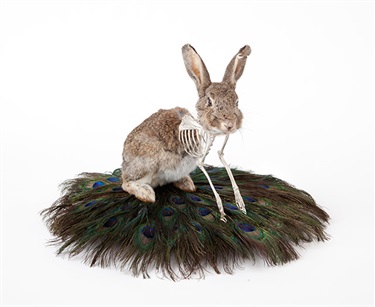 Julia deVille, Ego Verto, rabbit, sterling silver, peridots, chrome tourmalines, sapphires, glass, wood, peacock feathers, 30 x 30 x 30 cm. Courtesy of Sophie Gannon Gallery.