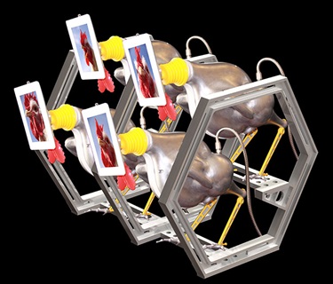 Jason Christopher, Battery Hens, video and audio, cast aluminium, plastic, proprietary items, 80 x 80 x 80 cm.