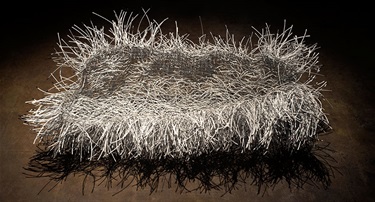 Tracey Deep, Wisdom, fencing wire, under wire, 80 x 40 x 30 cm.