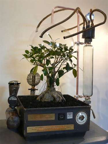 Thorhammer Beowulf, The Carbon Credit Machine, bonsai, gauges, metal tubing, other instruments, 67 x 46 x 52 cm. Courtesy of Beowulf Galleries.