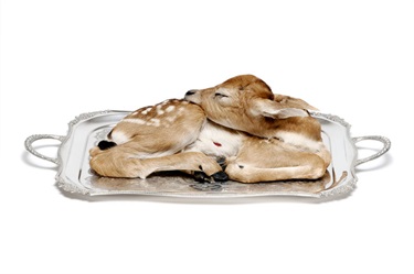 Julia deVille, Sorrow, stillborn deer, glass, antique platter, rubies 0.35ct, enamel paint, 56 x 35 x 15 cm. Courtesy of Sophie Gannon Gallery.