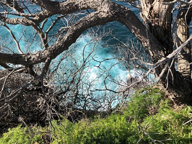 Alexys Loke-Jeffery, Eye of the Ocean, Yr 10, St Clare's College