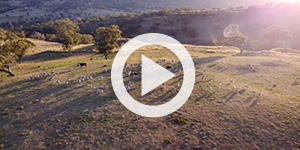 Angus Stanford, After Life, Yr 10, Cranbrook School