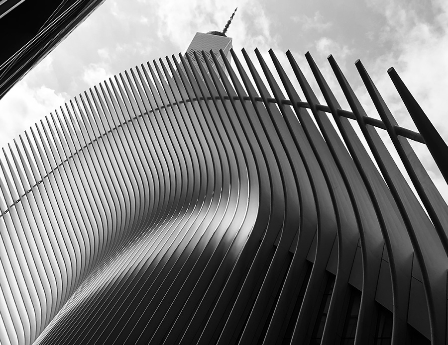 Georgina Maxwell, Oculus, Yr 9, Kincoppal Rose Bay