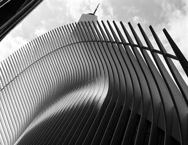 Georgina Maxwell, Oculus, Yr 9, Kincoppal Rose Bay