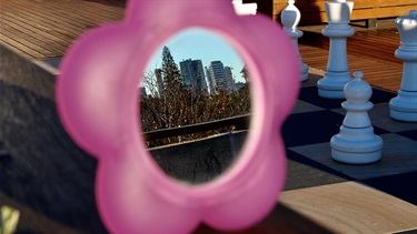 Muir Robertson, Checkmate, Yr 11, Cranbrook School