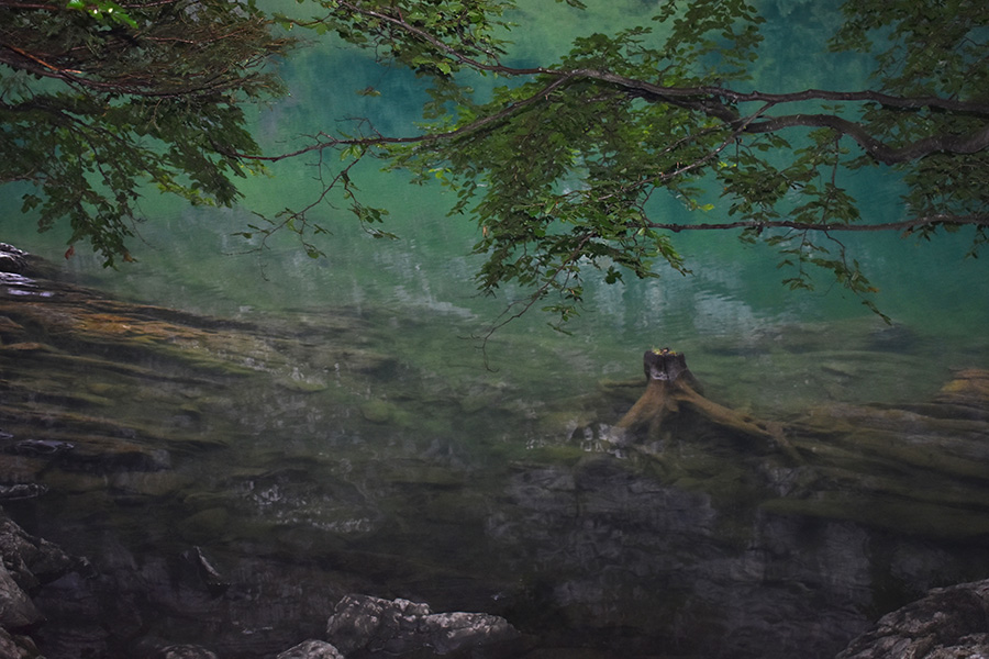 Olivia O'Neil, Appenzell - Timeless and Untouched, Yr 11, Kincoppal Rose Bay