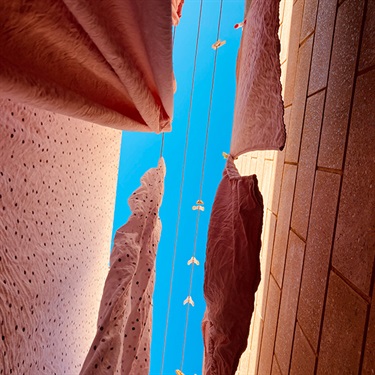 Ottilie Hannon, Laundry, Yr 7, Kincoppal Rose Bay