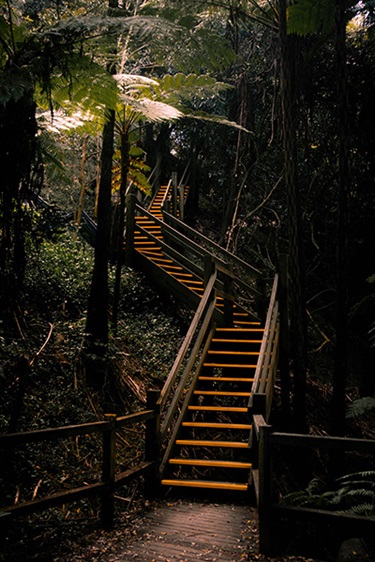 Robbie Wyer, Hidden Gems, Yr 9, Cranbrook School