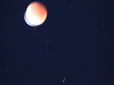 Stanley Thomson, Blood Moon, Yr 10, Cranbrook School