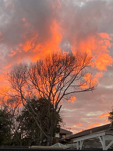 Bowie Wanda, Fiery Sunset, Yr 8, Waverley College