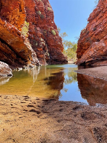 Crusoe Leddie, Larapinta, Yr 10, Cranbrook School