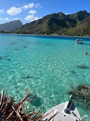 Cynthia Poehere-Wong, Aqua Dreaming, Yr 10, Macquarie Grammar School