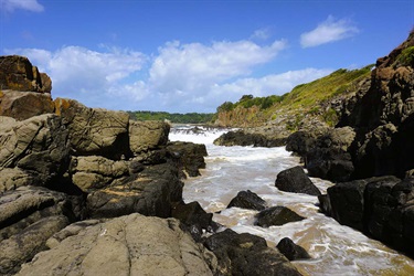 Dane Hong, Our World, Yr 9, Sydney Boys High School