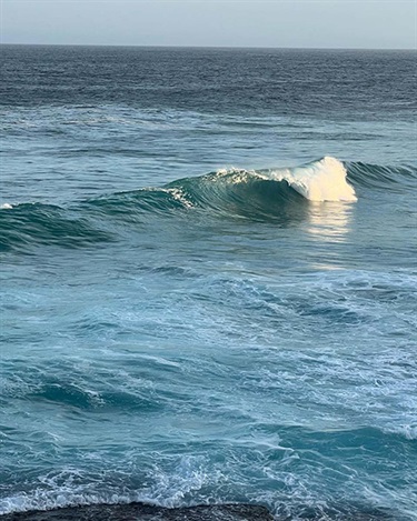 Hugh Foy, Wave, Yr 7, Cranbrook School