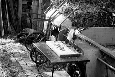 Sienna Apted, Magpies, Yr 11, SCEGGS Darlinghurst