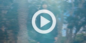 Zaydan Hassan, Noah Allard, William Hong, Surreal Film Stage X3, Yr 10, Sydney Boys High School