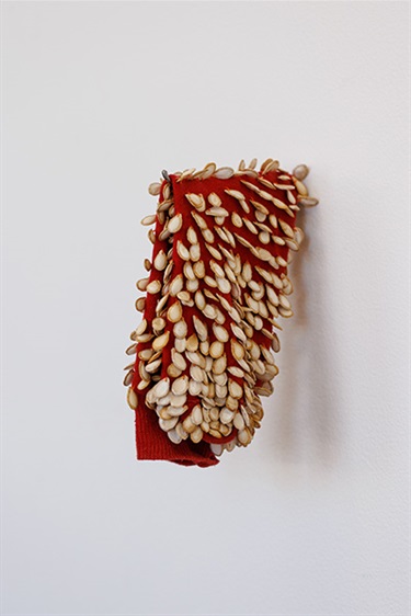 Jacqueline Bradley, Seed Sock