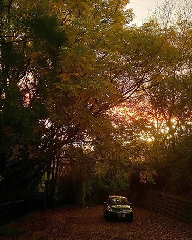 Autumn Light, Hahn Mai, Yr 11, Macquarie Grammar School