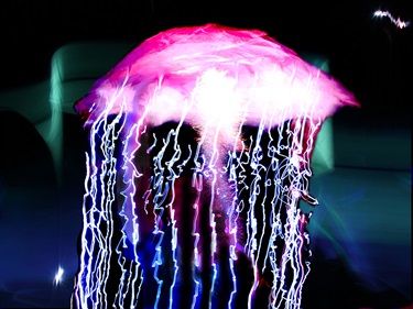 Bioluminescence, Jade Rose Duffy, Yr 9, Kincoppal Rose Bay