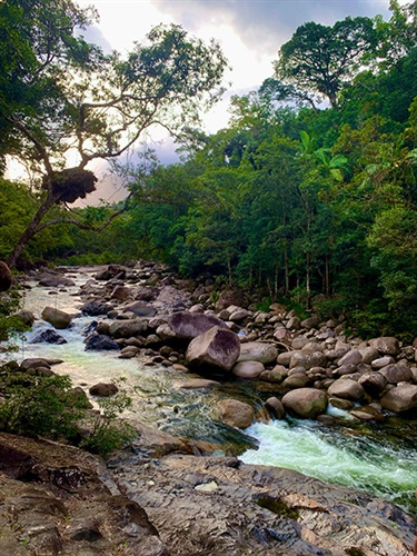 Daintree Wilderness, Hamish Allen, Yr 9, Cranbrook School