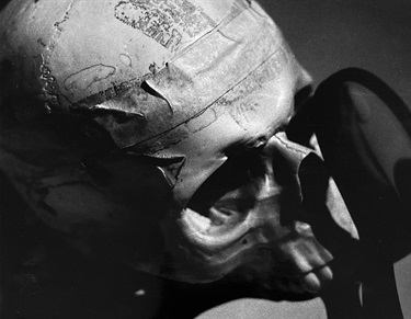 Skull with Magnify Glass, William Matthew, Yr 12, Cranbrook School