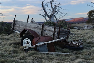 The Plains, Tyler Gruenpeter, Yr 9, Reddam House