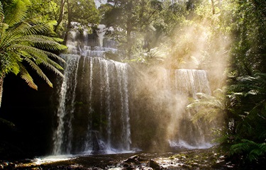 Candy Du, Enchanted Falls Where Spirits Flow, Yr 9, Kambala