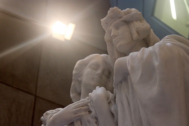Jesse Morgan, Where Light Finds Us, Yr 9, Cranbrook School
