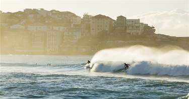 Jez Jaffers, Surfs Up!, Yr 11, Cranbrook School