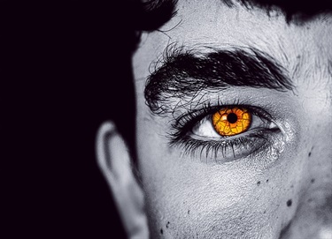 Jimmy Purchas, Eye do not Lie, Yr 11, The Scots College