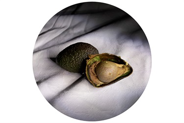 Phoebe Howard, Give Me Avocado, Yr 12, Ascham School