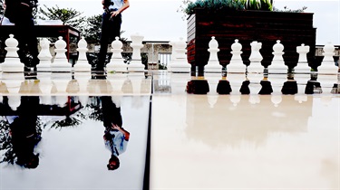 Will Hambly, Water Reflections, Yr 11, Cranbrook School