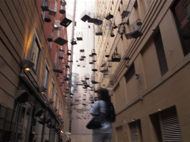 Chelsea Lim, Birds of a Feather, Yr 9, Sydney Girls High School