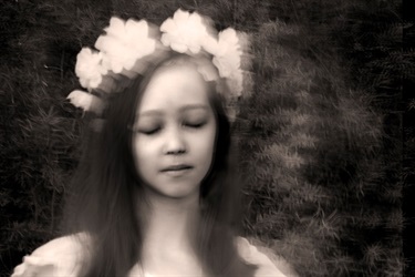 Evie Boyton, Ephemeral, Yr 10, Ascham School