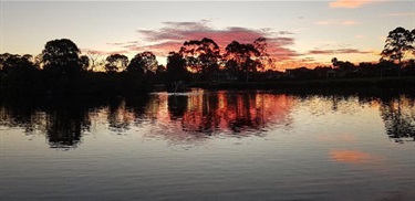 Hossain Zahin, Reflections, Yr 10, Sydney Boys High School 