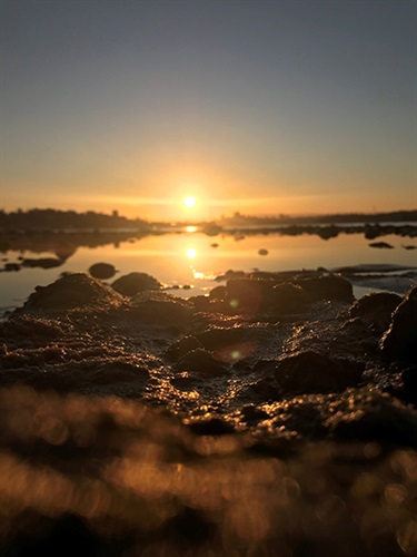 Max Lister, Untitled, Yr 7, The Scots College